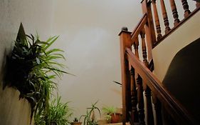 Kaki Appartement